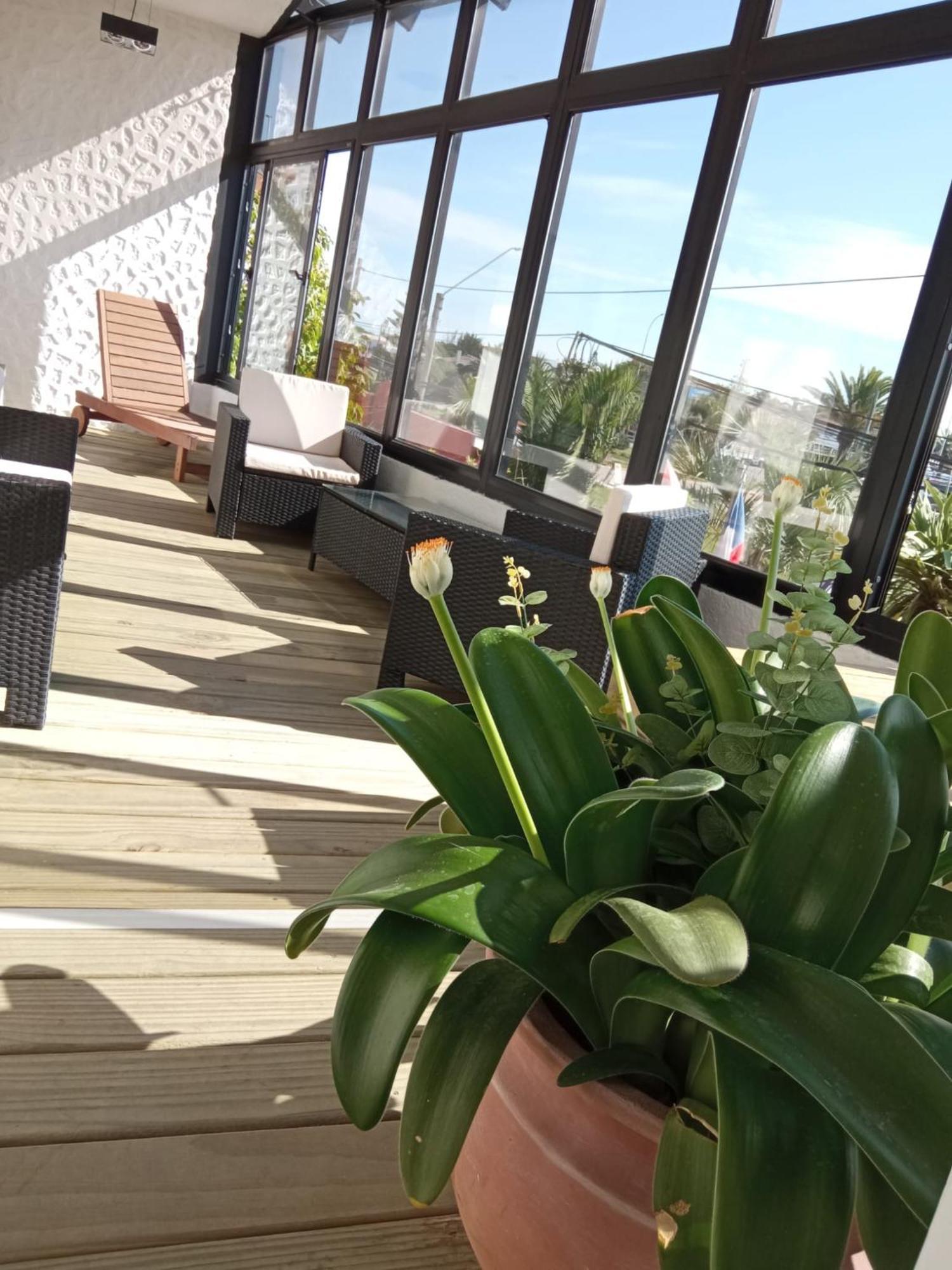 Hotel Bahia 라 팔로마 외부 사진